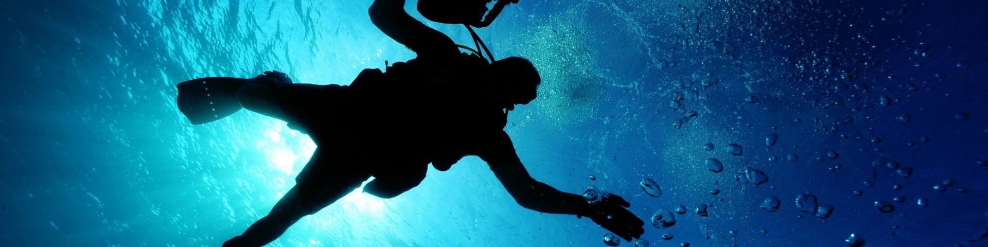 Logo  Anse Caraïbe Plongée